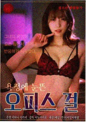 韩剧《汉江以北的春天》在线观看海报